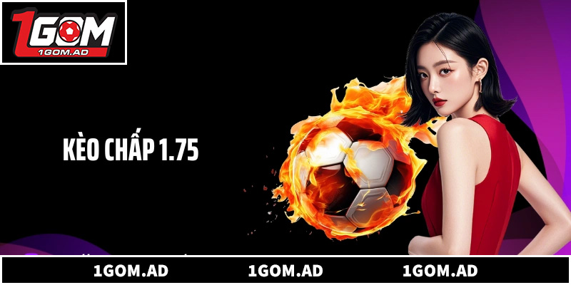 Đánh giá lối chơi phòng ngự và động lực của cửa dưới