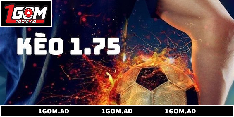 Phân tích hàng công và lực lượng để tin tưởng đội chấp